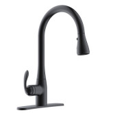 Faucet kitchen 1-handle MB