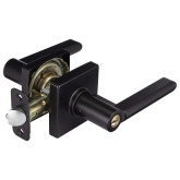 Lock Entry Lever US19